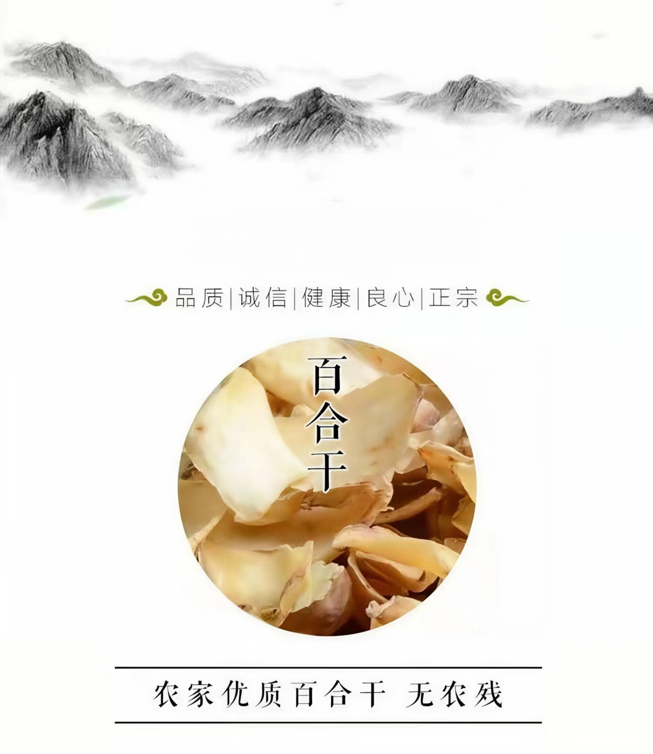 Dried Lily Bulb (Lilium brownii) Longya Variety — Hunan Food Herb for Soup & Tea overview