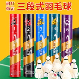 跳绳;羽毛球拍;篮球