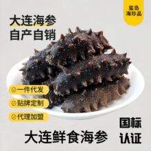 大连鲜食海参即食海参刺参新鲜辽参深海海参水产品海参即食海参