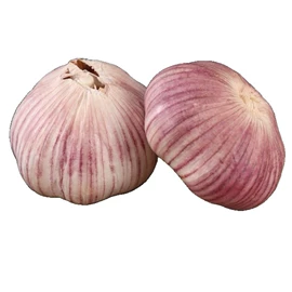 蒜;洋葱;块茎类