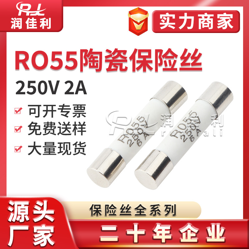 陶瓷熔断器 5*25mm R055 防爆保险管2A 250V 熔芯保险丝 无引线脚