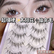 ̫ꖻ�����ë�ٽ�ëһ���l�՚����Ȼ͸�������L�m������2026���u