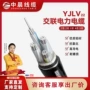定制平方铠装低压电缆