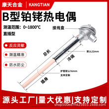 铂铑热电偶 刚玉管温度传感器 耐0-1800度 WRP-131高温防爆s型B型
