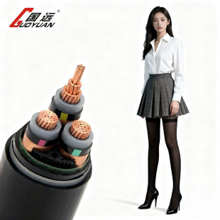 �S��ֱ�Nƽ�����h�������|оZC-YJV4