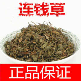 中药材连钱草 大别山野生连线草破铜钱 遍地香过墙风铜钱草透骨消