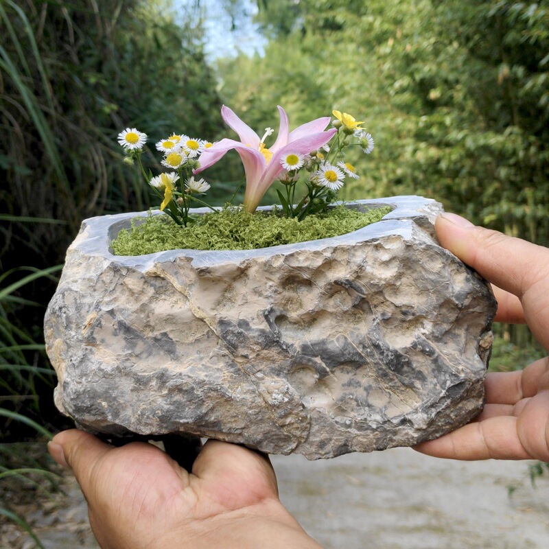 Stone Flower Pot, Creative Vase, Succulent Hydroponic Planting Flower Pot, Money Grass, Calamus, Narcissus, Large Stone Pot, Personalized