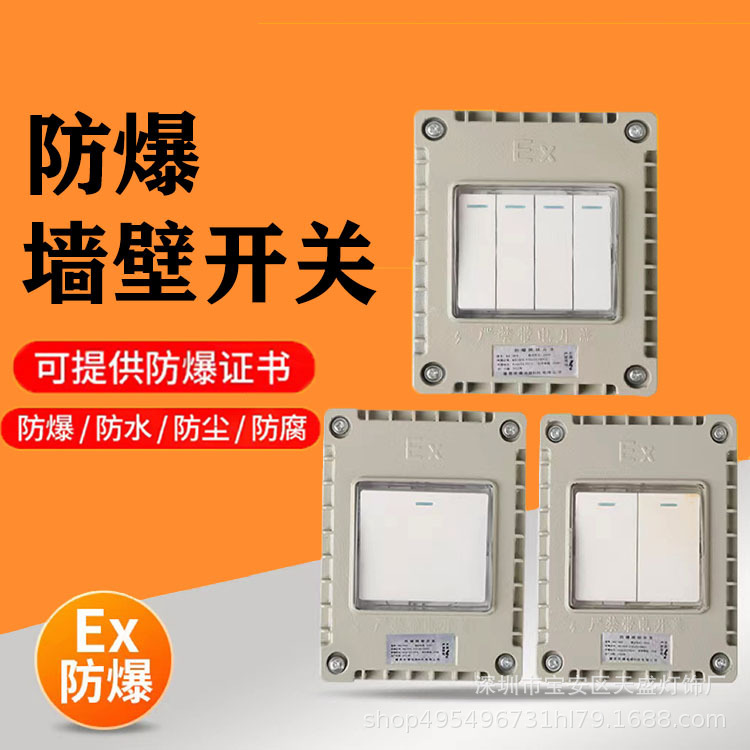 防爆开关220V翘板明装墙壁开关单开双开三开四开10A防爆照明开关