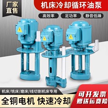 �C����sˮ���ĥ�����и�ѭ�h����늱�DB AB WMȫ�~늙C380V�ͱ�