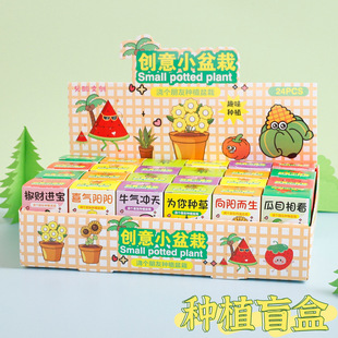 Creative Kidsren's Small Potted Plants Blind Box Potted Indoor Mini Desktop Green Plants Internet Celebrity Creative Office Decorations