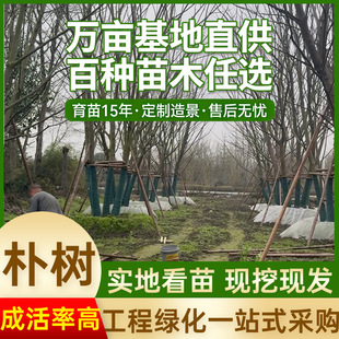 �����Ә乤�̾G����؛ƴ�Ծ�Ʒ���͆�ľ��ľ�ΗU�Ә��Ĵ�