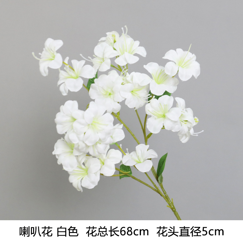 Flor de trompeta (nuevo)