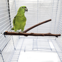 鸟站杆天然树杈鹦鹉站架磨爪栖息啃咬树枝鸟笼用品小鸟类玩具批发