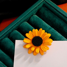 һ�e�Z�����տ���ᘶY���·����Ʒ2024���OӋ��С���ߙn�eᘻ���