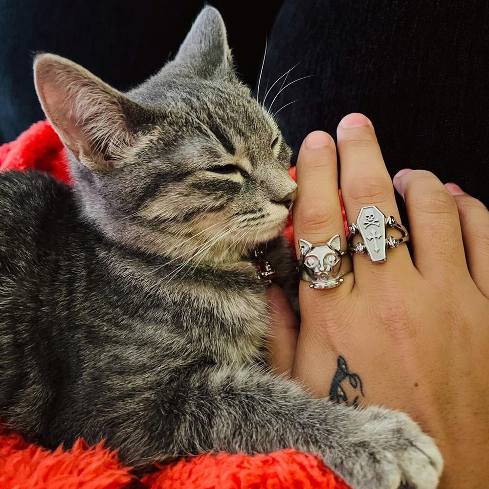 Rings Classification Punk Geometric Alloy Polishing Unisex Rings