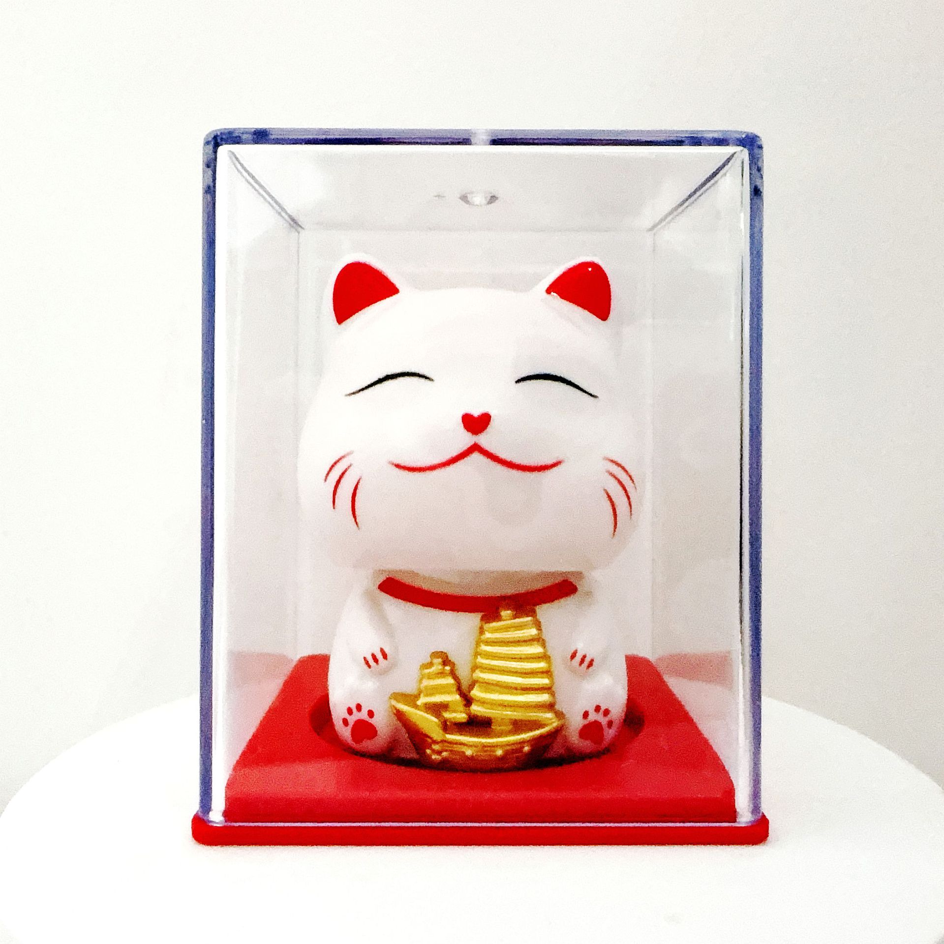 19-5 보트 행운의 고양이