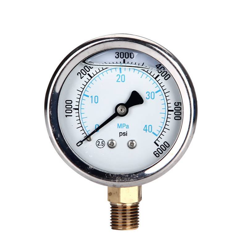 990 rociador sin aire accesorios diafragma cuerpo de la bomba cilindro de regulación de presión interruptor de reflujo alimentación tubo de succión Pantalla de filtro image 33