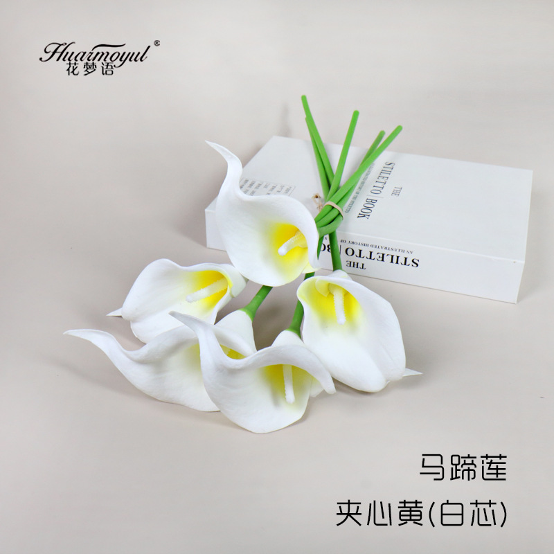 칼라 릴리 샌드위치 옐로우(화이트 코어)