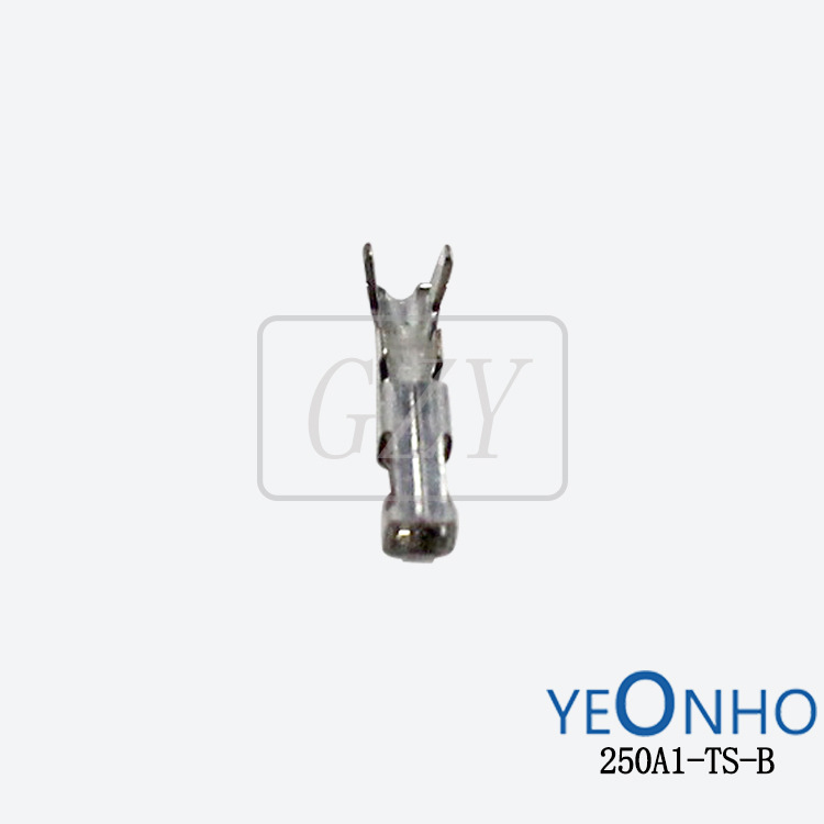 Ӧ250A1-TS-B ѹŶ YEONHO/Ȼ ɶ