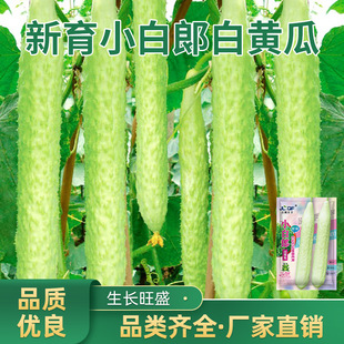 ��Ƥ�S�ϷN���r�۶�֭С������ϷN�ݴ����ļ��̨�����߲���