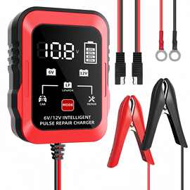 超薄6V 12V充电器 (ASE转接线) 摩托车割草机 汽车电瓶充电器