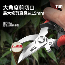 �M�ڲ��P䓈@ˇ���� ��֦������֦���ü�����֦�����r�û�ˇ��