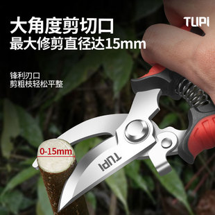 Imported Stainless Steel Gardening Scissors, Pruning Shears, Special Scissors for Pruning Branches, Pruning Scissors, Agricultural Flower Scissors