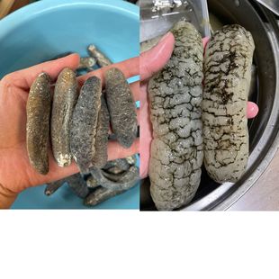 ���ɺ������x��ζ��؛�������l�����ݰl35TҰ���̅���������