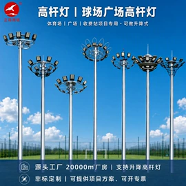 道路照明灯;景观灯;太阳能灯