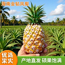 ���ں��Ͻ���P��9�����rˮ���������Fժ��Ȼ������ˮ�P�沤�}