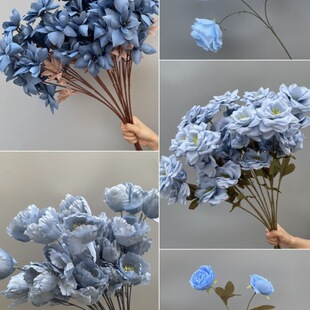 �F���{ɫϵ����c�����~��õ����ĵ���ٻ���Y�ñ����b�ˇ