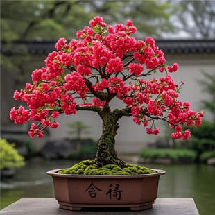 ѻļͺϘԵԻܷۼt҃ȿ͏dͥԺGֲֲ