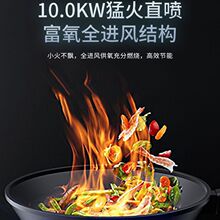 �����ͻ�ȼ����N�����������ȼ����10KWú��̨ʽǶ��ʽ��������