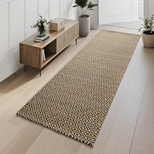 亚马逊走廊地垫入户门垫除尘进门入户地毯客厅卧室轻奢沙发茶几垫