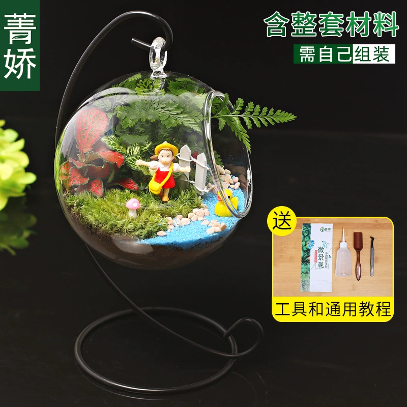 Micro landscape, table glass materials set, DIY, Birthday gift
