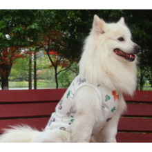 �����·���ë�����_ĦҮ��ʿ��߅��������b�д���Ȯ�󹷾W�����b