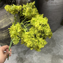 ������ ̦�\����̦��ܛ�z���ϲ�ֲ��廨�b����B��������