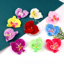 ��������m���^���cϲ�Ǻ��b�DIY��ˇ�廨�����^��b����