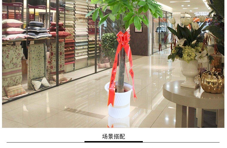 ��������ͼ�����ڻ��� �辰ֲ�� ���������� �������⻨�� ��