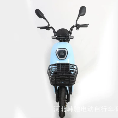 Popular Internet-Famous Electric Bike, Elektrikli motosikletlər