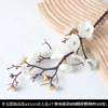 Plum white