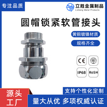 严选波纹管密封格兰头RG带锁紧软管防水接头外螺纹塑软管锁紧固定