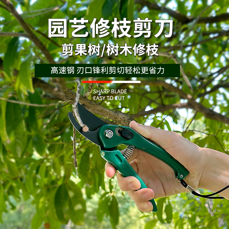 修枝剪花艺树枝修剪刀园艺园林修枝摘果剪园林修建工具家用修花剪