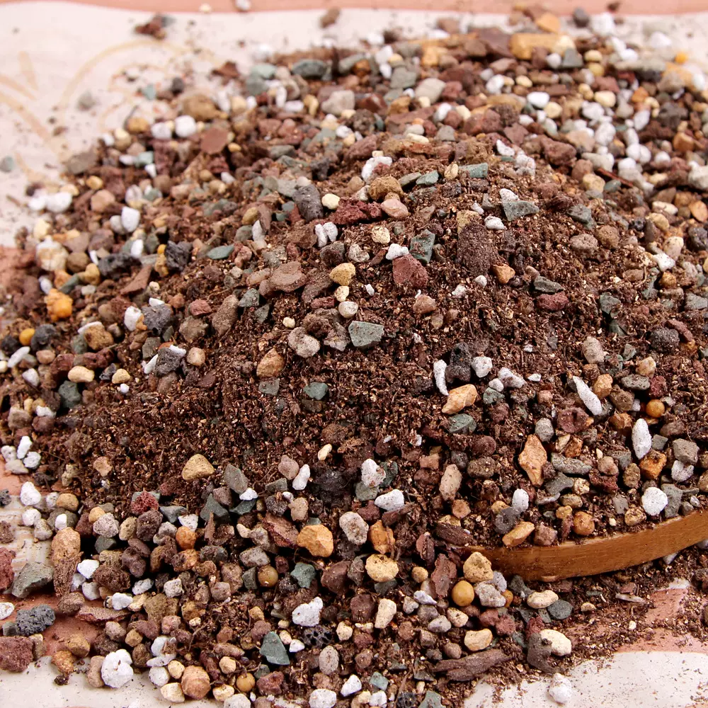多肉土12合一多肉直接种植颗粒土多肉栽培基质兰花土兰花栽培基质