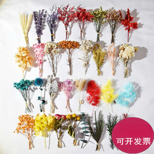 ��������С�����ֹ��n�����T�Ʋ廨�h���}�Q���h��޹�b�������