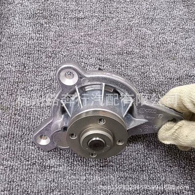 Water pump Spur Continental Gtw12 6.0