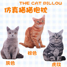 创意仿真猫咪抱枕3D仿真猫猫抱枕动物玩偶摄影婚庆摆拍道具批发