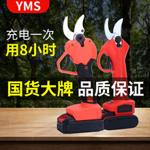 ������ʽ�늼�늼�늄Ӽ�����֦�����@�ֳ��ʽ�޼���֦��E18