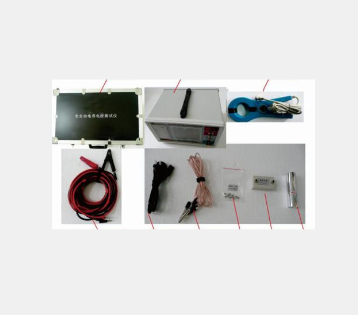 ZZ供电容电桥测试仪 型号:M31/RT-500库号：M374694