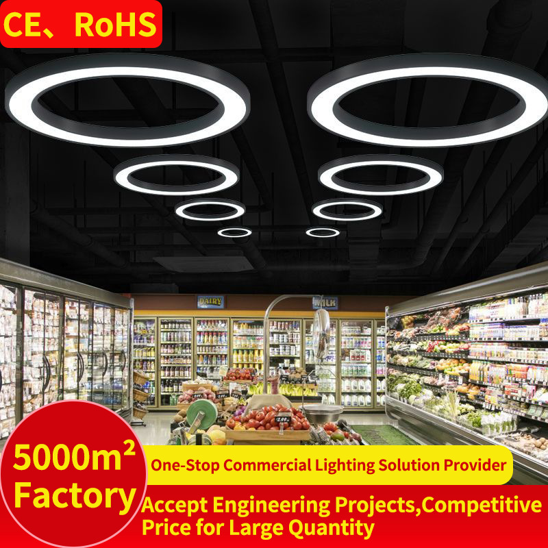 Hollow Round Pendant Light Modern Circle Home Ceiling Lamp